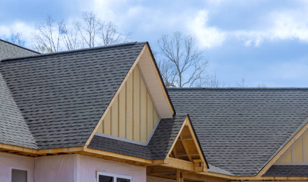 Best Roof Moss and Algae Removal  in Gray Summit, MO
