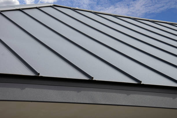 Best Skylight Installation and Repair  in Gray Summit, MO